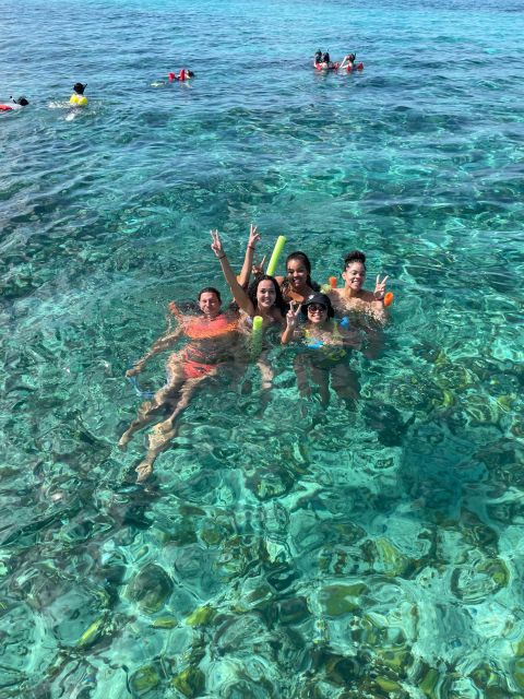 Nassau: 3 Islands Boat w/ Swimming Pigs, Snorkeling & Turtle - Swimming with the pigs near Rose Island