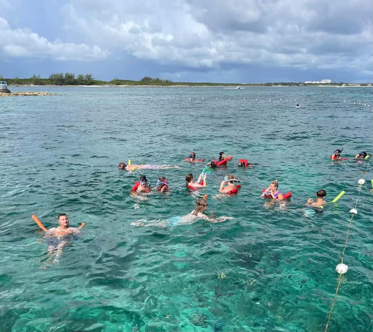 Nassau: 3 Islands Boat w/ Swimming Pigs, Snorkeling & Turtle - Rose Island beach time and onboard drinks