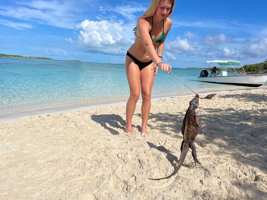 Nassau: 3 Islands Boat w/ Swimming Pigs, Snorkeling & Turtle - Who will enjoy this tour most