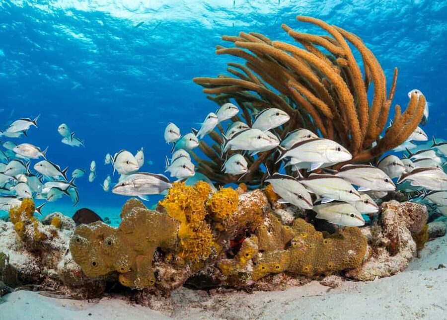Nassau: 3 Islands Tour, Snorkel, Pig Beach, Turtles & Lunch - Athol Island and the scenery between stops