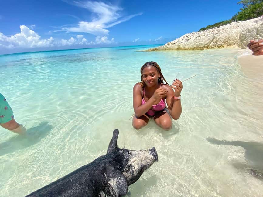 Nassau: 3 Islands Tour, Snorkel, Pig Beach, Turtles & Lunch - Pearl Island: a proper snorkeling stop