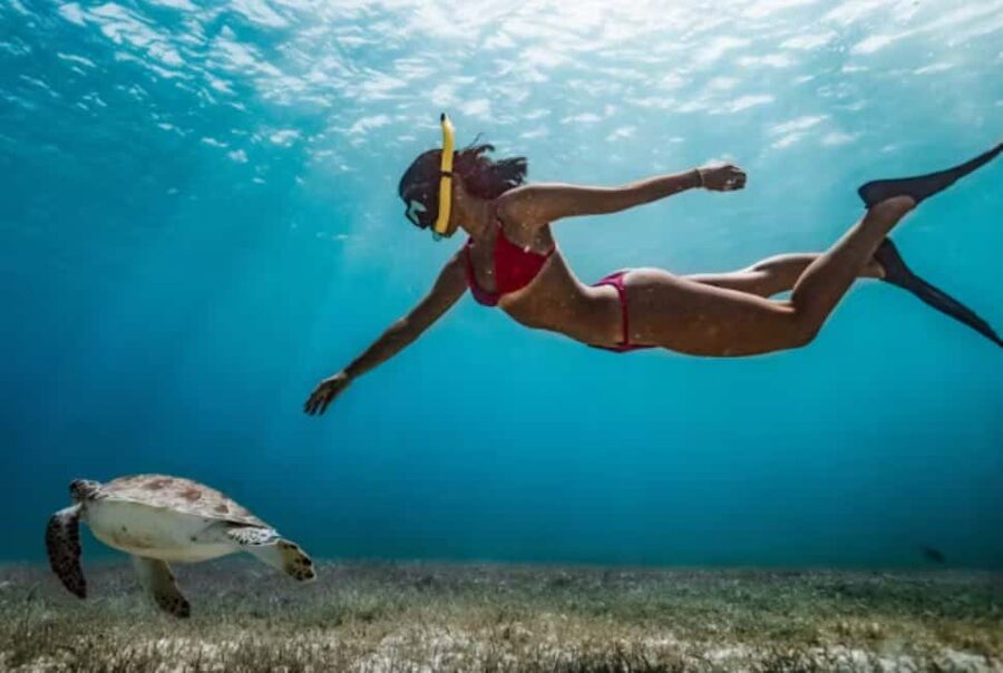 Nassau: Catamaran Sail and Snorkel Tour - The return sail, rum punch, and Atlantis views
