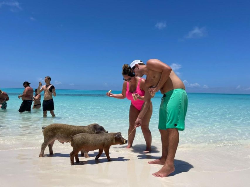 Nassau: Half-Day Guided Cay Cruise, Sea Life Watch & Snorkel - Rose Island and the final beach pause