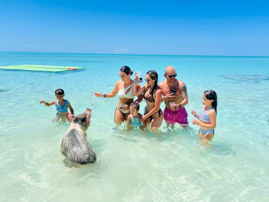 Nassau: Half-Day Swimming Pigs, Reef Snorkel & Beach Club - Five things to know before you book
