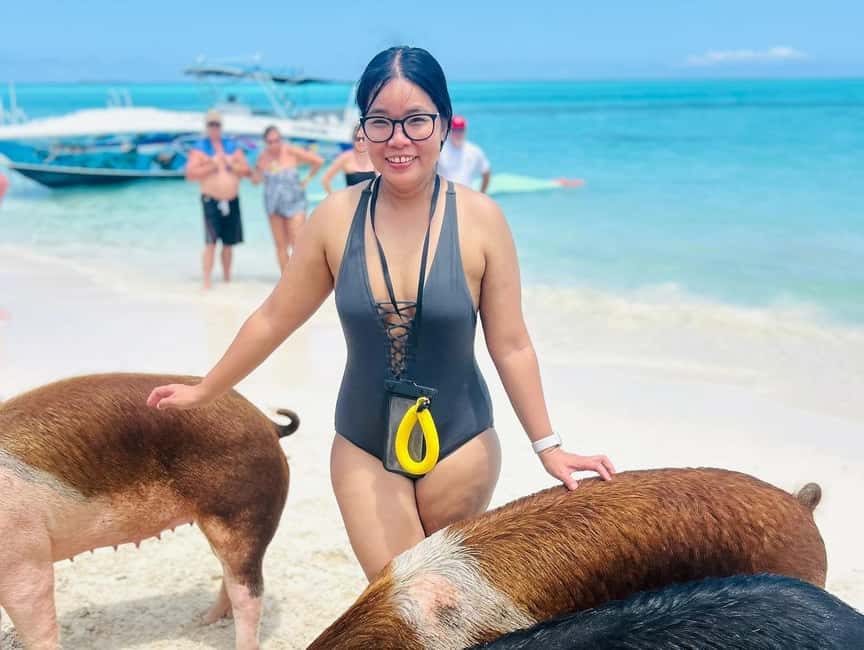 Nassau: Half-Day Swimming Pigs, Reef Snorkel & Beach Club - A four-hour Nassau outing with a sensible rhythm