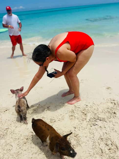 Nassau: Half-Day Swimming Pigs, Reef Snorkel & Beach Club - Rose Island: pigs, lunch, and time to slow down