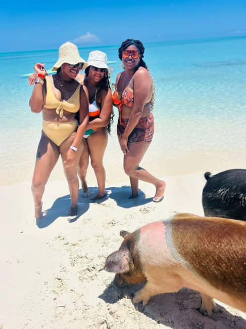 Nassau: Half-Day Swimming Pigs, Reef Snorkel & Beach Club - Green Cay: a short wildlife stop