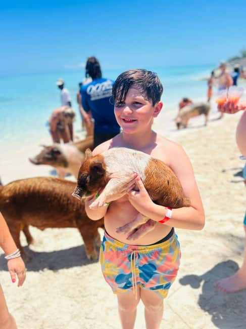 Nassau: Half-Day Swimming Pigs, Reef Snorkel & Beach Club - What $189 buys you