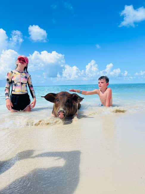Nassau: Half-Day Swimming Pigs, Reef Snorkel & Beach Club - The safety briefing and first boat ride