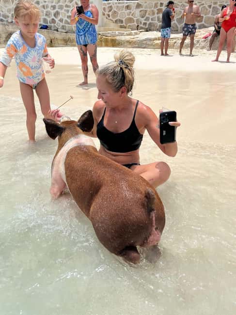 Nassau: Pigs, Snorkel, Turtles, Lunch, Private Beach Club - Why this four-hour Nassau tour works so well