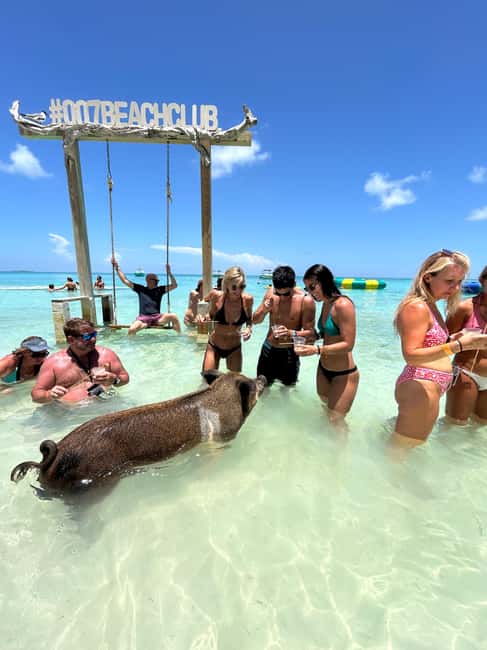Nassau: Pigs, Snorkel, Turtles, Lunch, Private Beach Club - Stop one: snorkeling near Rose Island
