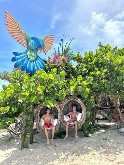 Nassau: Pigs, Snorkel, Turtles, Lunch, Private Beach Club - Rose Island’s private beach club