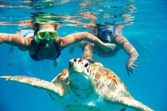 Nassau: Private Island & Snorkeling, Turtles, Drinks, & BBQ - Key points at a glance