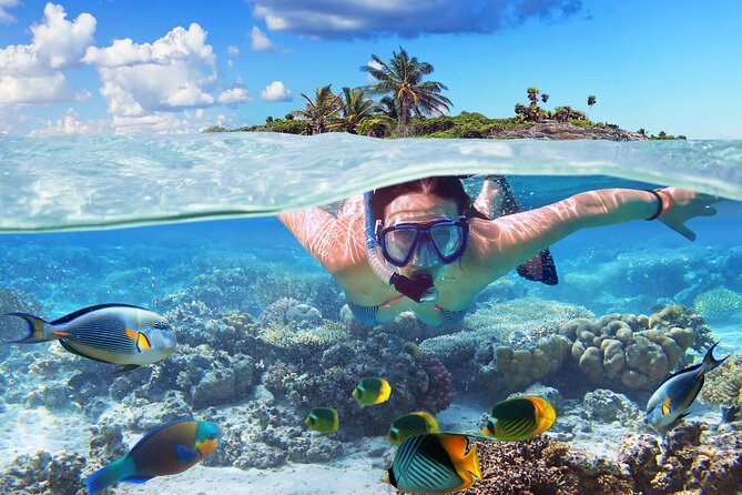 Nassau: Private Island & Snorkeling, Turtles, Drinks, & BBQ - What the four-hour Nassau trip is really like