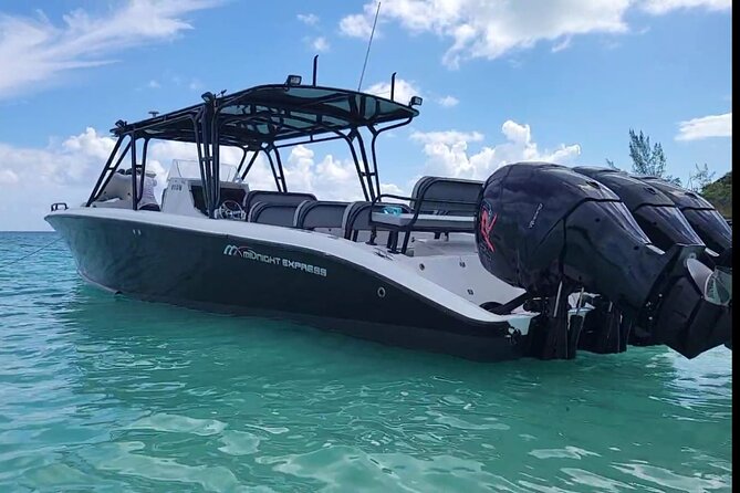 Nassau: Private Island & Snorkeling, Turtles, Drinks, & BBQ - Pearl Island Reef: a short but worthwhile snorkel