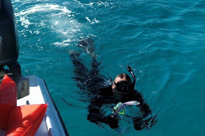 Nassau: Private Island & Snorkeling, Turtles, Drinks, & BBQ - How much value do you get for $153?