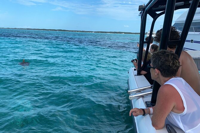 Nassau: Private Island & Snorkeling, Turtles, Drinks, & BBQ - The speedboat ride through Nassau Harbour