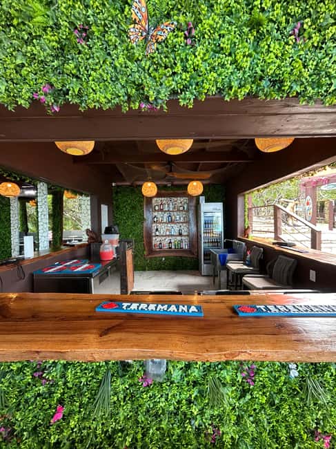 Nassau: Reef Snorkeling, Turtles, Lunch & Private Beach Club - Key points at a glance