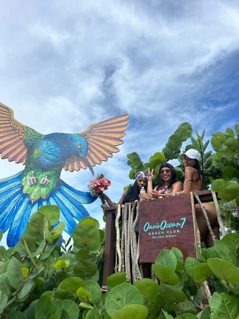 Nassau: Reef Snorkeling, Turtles, Lunch & Private Beach Club - Who should book this outing?