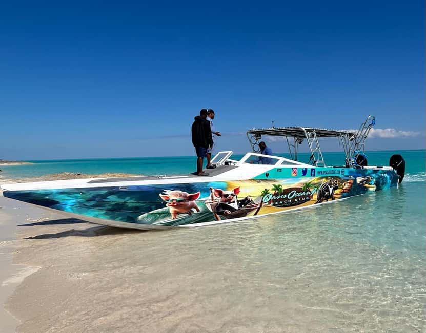 Nassau: Reef Snorkeling, Turtles, Lunch & Private Beach Club - Turtle watching at Green Cay