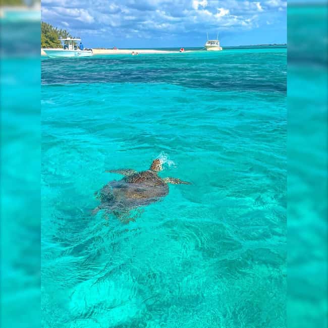 Nassau: Rose 3-Island Tour with Snorkeling and Lunch - Green Cay brings the best snorkeling