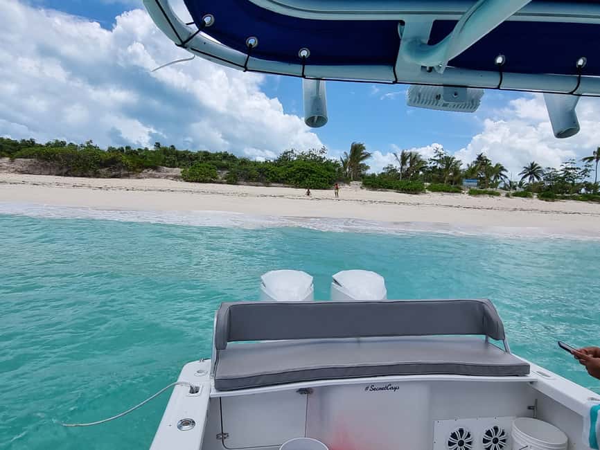 Nassau: Rose Island Swimming Pigs & Turtles Snorkeling Tour - Key points at a glance