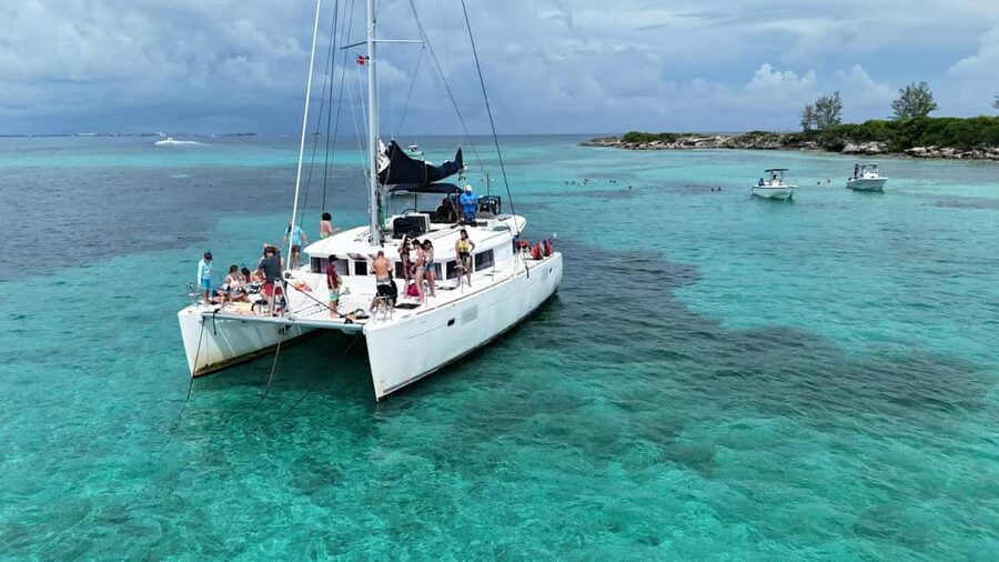 Nassau: Snorkeling, Pig Beach, Swim with Turtles, and Lunch - Quick take: what makes this cruise worth considering