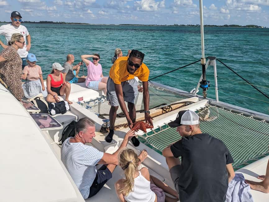 Nassau: Snorkeling, Pig Beach, Swim with Turtles, and Lunch - Montagu Beach is the starting point