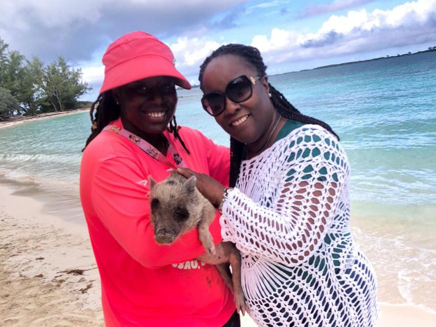 Nassau: Snorkeling, Pig Beach, Swim with Turtles, and Lunch - The ride home is part of the experience
