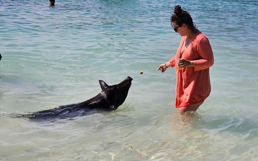Nassau: Snorkeling, Pig Beach, Swim with Turtles, and Lunch - The catamaran ride sets the right pace