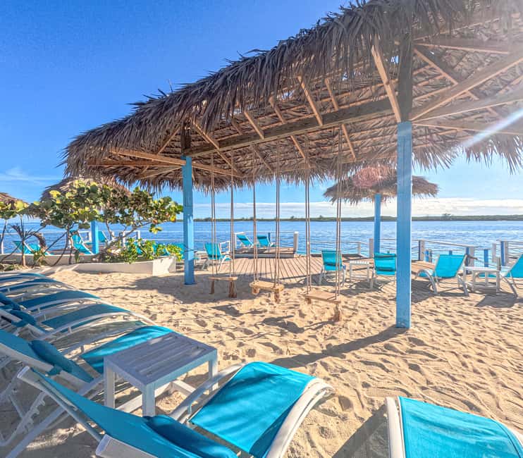 Nassau: Sun Cay Day Trip, Snorkel, Iguana Encounter, & Lunch - A short visit with the iguanas