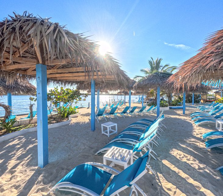 Nassau: Sun Cay Day Trip, Snorkel, Iguana Encounter, & Lunch - Bahamian lunch with fish, rice, and peas