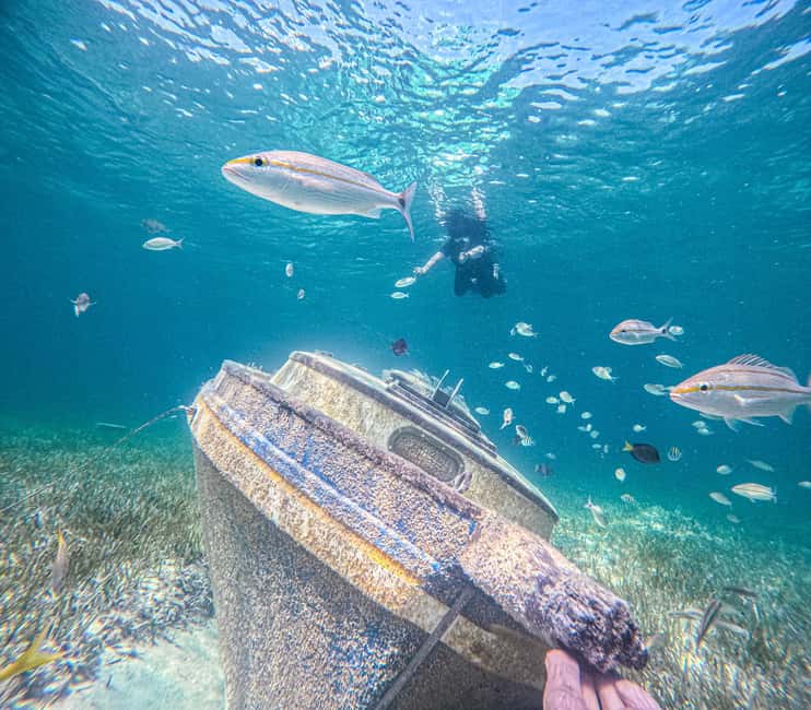 Nassau: Sun Cay Day Trip, Snorkel, Iguana Encounter, & Lunch - Arriving at Sun Cay and finding your place