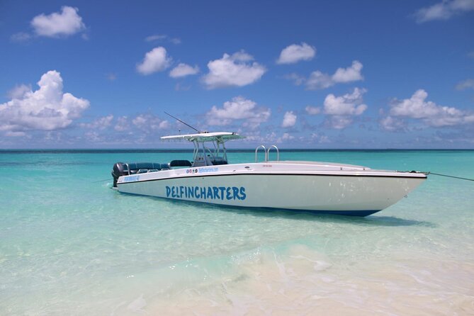 Nassau: Swimming Pigs And Snorkel With Turtles - Green Cay: calm water and a patient search for turtles