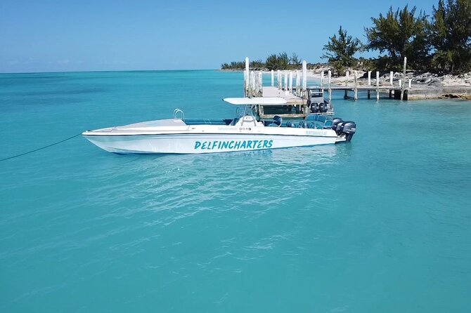 Nassau: Swimming Pigs And Snorkel With Turtles - Who will enjoy this tour most