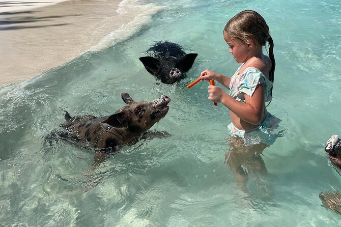 Nassau: Swimming Pigs And Snorkel With Turtles - Rose Island: swimming pigs, sand, and a little island freedom