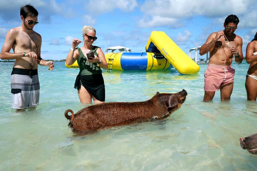 Nassau: Swimming Pigs, Snorkeling, Lunch, & Beach Boat Tour - A private beach with plenty to do