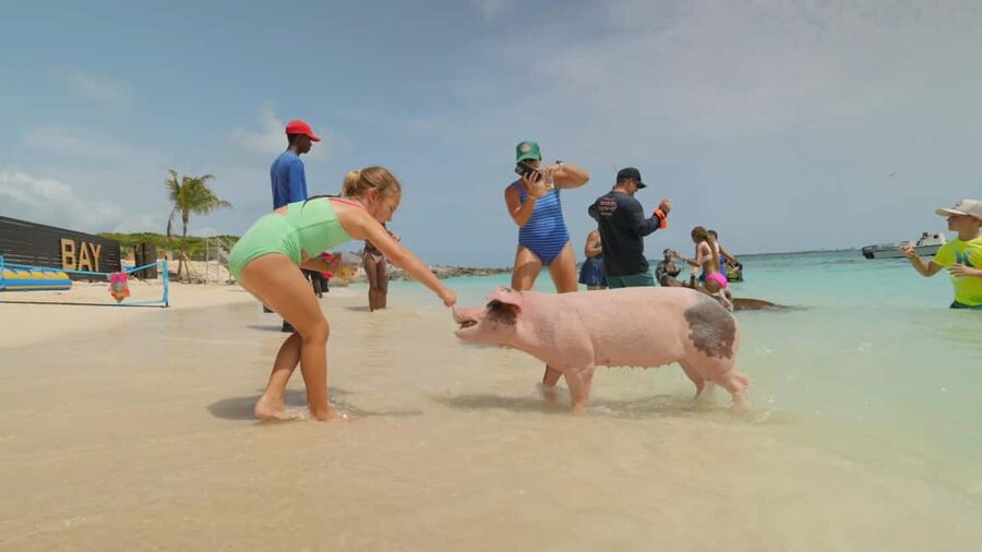 Nassau: Swimming Pigs, Snorkeling, Lunch, & Beach Boat Tour - Lunch, snacks, and the value of the $140 price