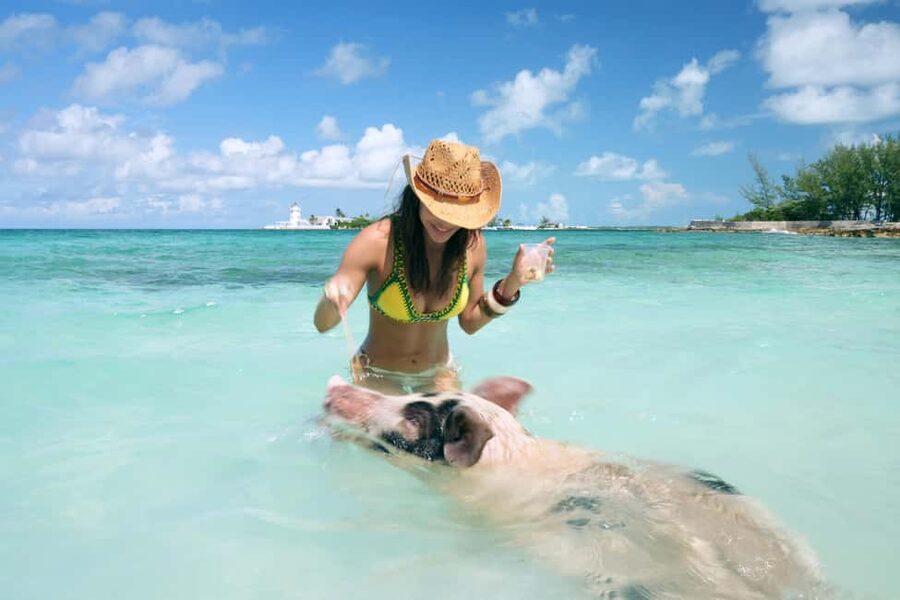 Nassau: Swimming Pigs, Snorkeling, Lunch, & Beach Boat Tour - Meeting the famous pigs at Athol Island
