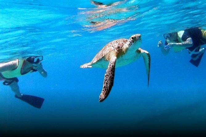 National Park Snorkeling Excursion - Why the national park setting matters