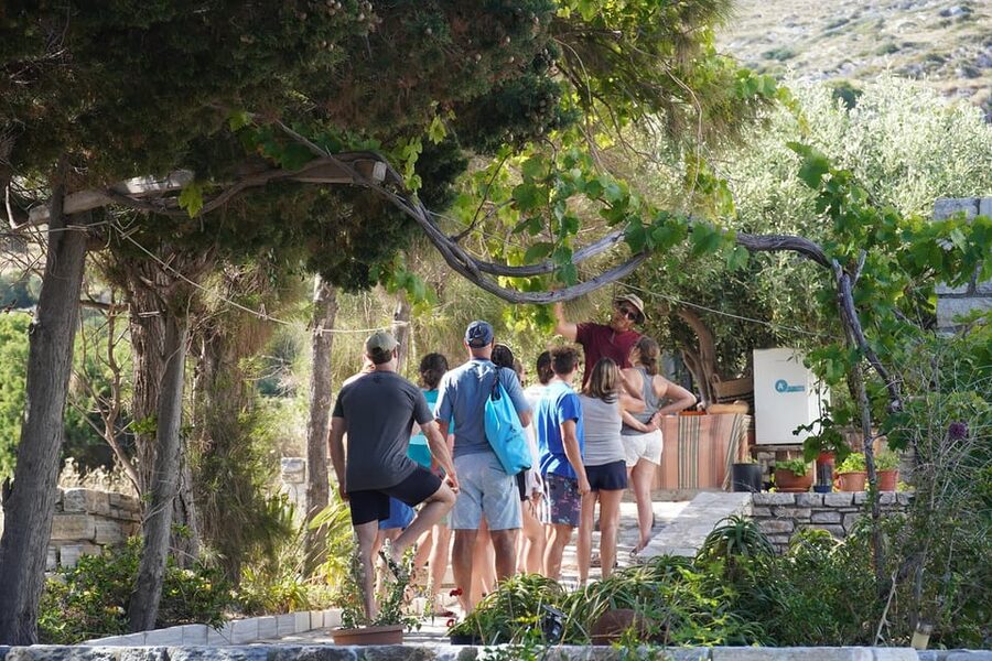 Naxos: Kampos Farm Sea Kayak Tour with Snorkeling & Picnic - Price, transport, and the true time commitment