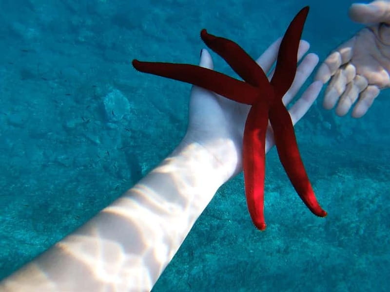 Naxos: Taormina Boat Tour with Snorkeling and Prosecco - Cruising past Taormina and Giardini Naxos