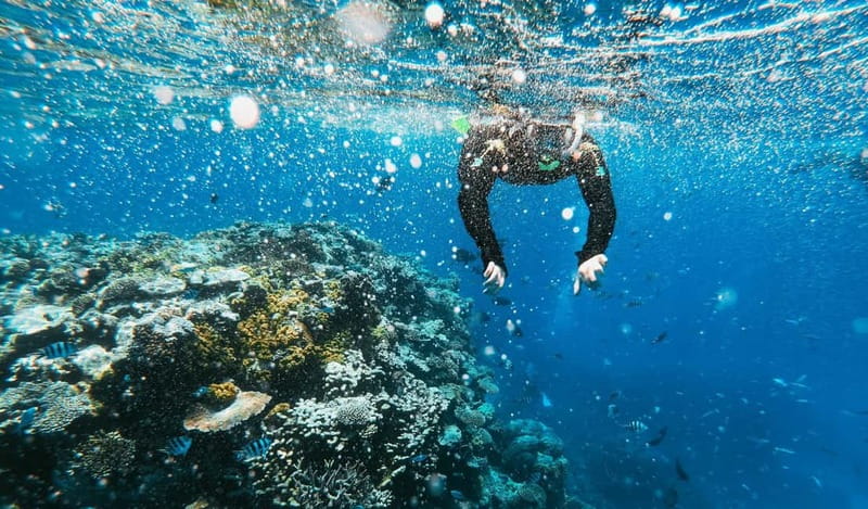 Naxos: Taormina Boat Tour with Snorkeling and Prosecco - Who will enjoy this boat tour most?