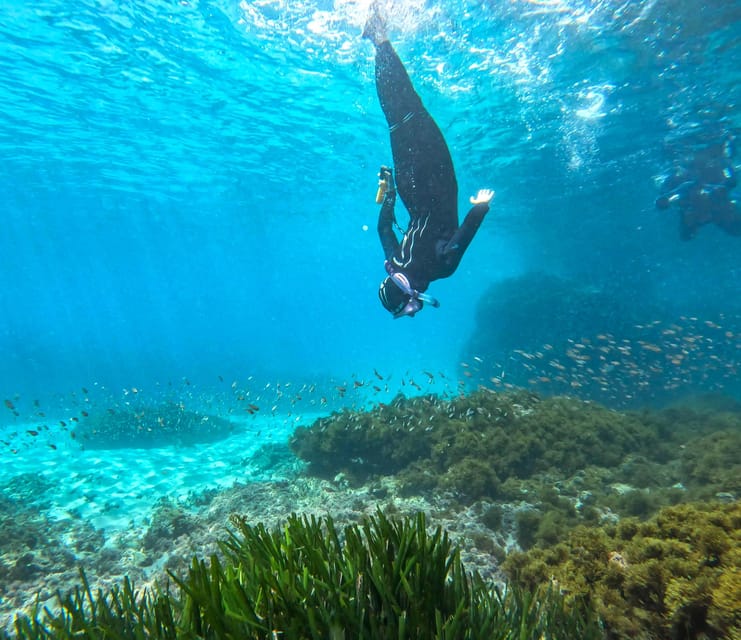 Nerja-Maro: Snorkeling & Sea Scooter Speedboat Trip - Key points to know before booking