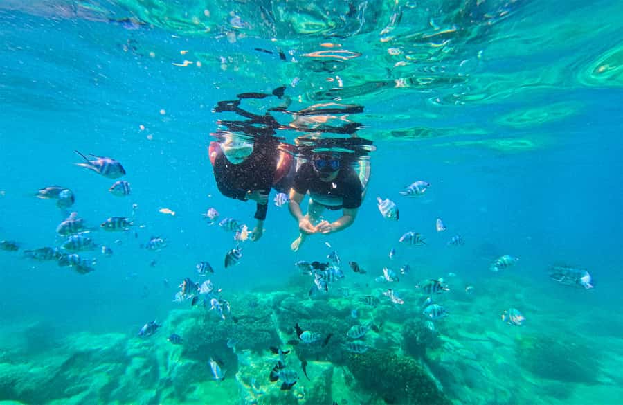 Nha Trang: Half-Day Snorkeling Adventure with BBQ Onboard - Is $30 good value?