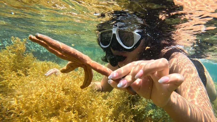 Nha Trang: Half-Day Snorkeling Adventure with BBQ Onboard - Pickup from Nha Trang or Cam Ranh