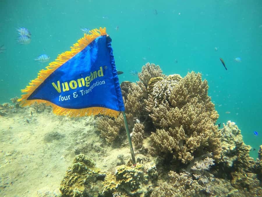 Nha Trang Half Day Snorkeling Trip - The return boat and hotel drop-off