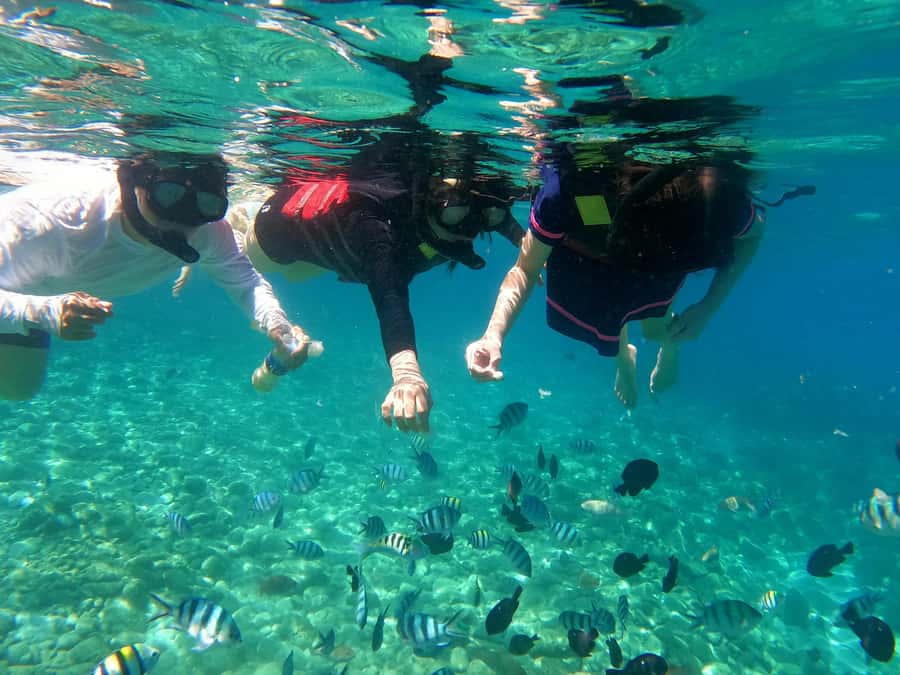 Nha Trang Half Day Snorkeling Trip - Guides, group size, and the pace