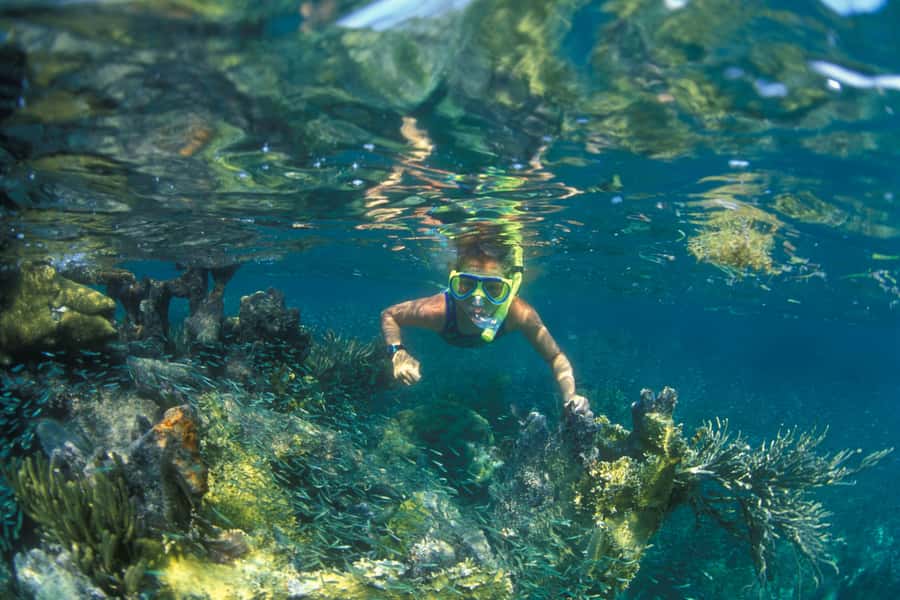 Nha Trang: Snorkeling Tour with BBQ Lunch at Coral Reef - Key points at a glance