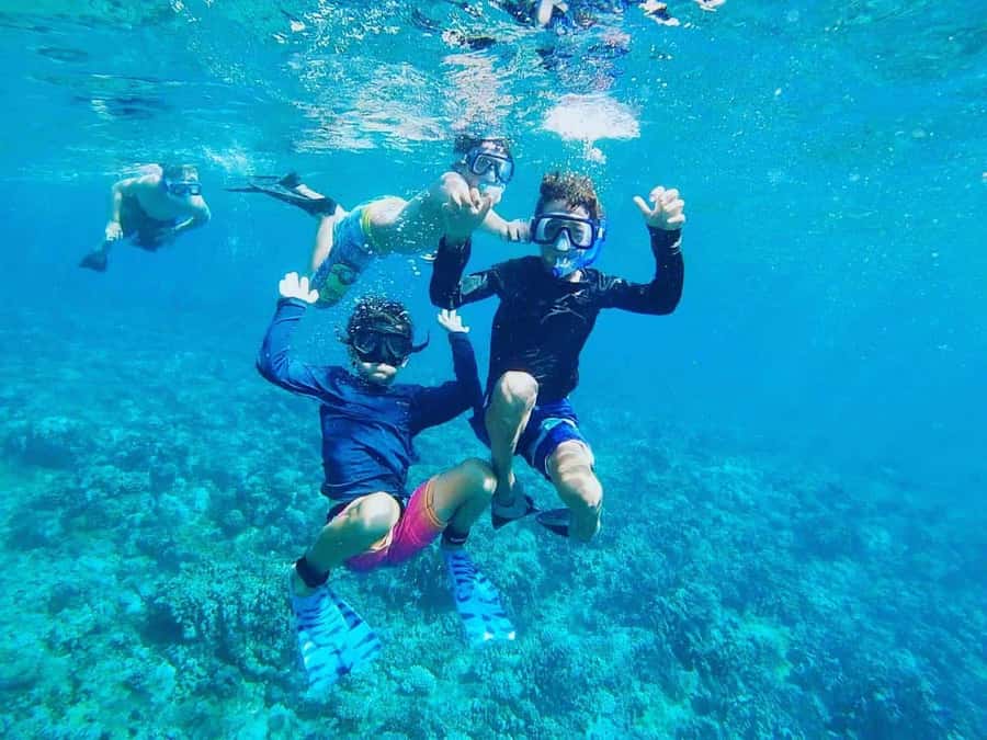 Nha Trang: Snorkeling Tour with BBQ Lunch at Coral Reef - What this Nha Trang snorkeling day is really like